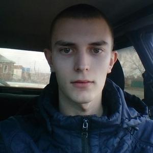 Дмитрий Гаузер, 26 лет, Новосибирск