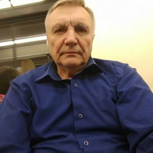 Михаил, 72 года, Москва