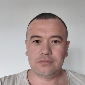 Жалолиддин, 31 год, Архангельск