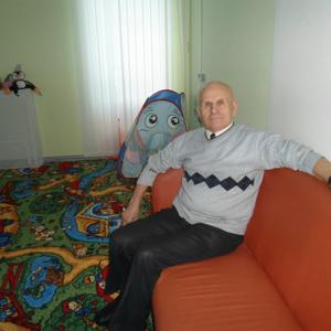 Виктор, 76 лет, Екатеринбург