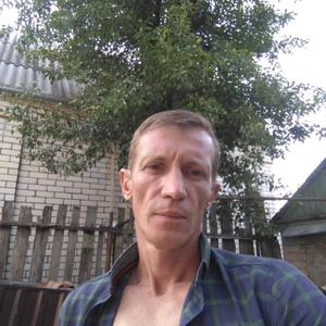 Алексей, 44 года, Подольск
