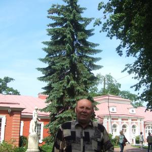 Николай, 75 лет, Торжок