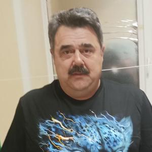 Владимир, 52 года, Волчиха