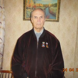 Сергей Лепинских, 79 лет, Брянск