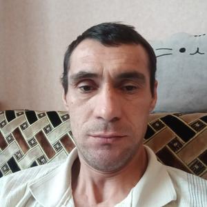 Василий, 46 лет, Зарайск