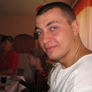 Сергей, 42 года, Могилев