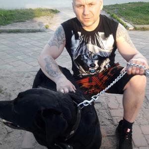 Олег, 45 лет, Домодедово