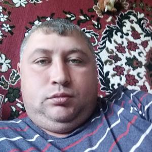 Альберт, 37 лет, Зеленодольск