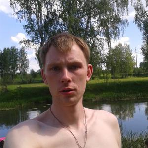 Сергей, 38 лет, Александров