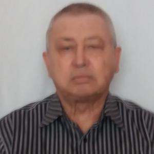 Нестеров Сергей, 75 лет, Электросталь