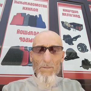 Шамхан, 67 лет, Краснодар