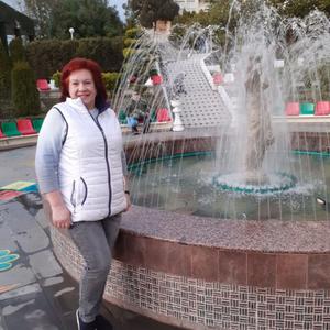 Елена, 61 год, Кировск