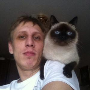 Дима, 34 года, Суворов