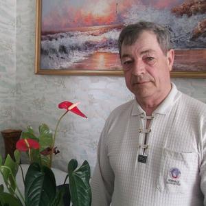 Геннадий Вавенко, 69 лет, Омск