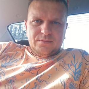 Николай, 35 лет, Светлогорск