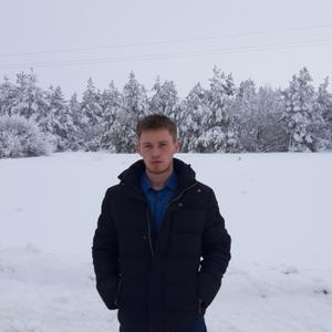 Алексей, 27 лет, Тихвинка