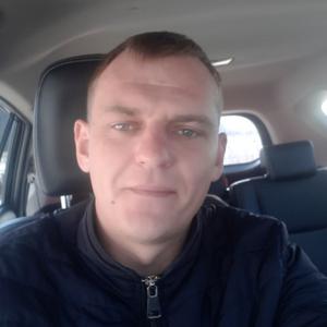 Николай, 35 лет, Витебск
