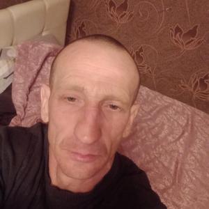 Алексей Антипов, 46 лет, Нижний Новгород