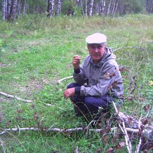 Vladimir Kovalenko, 73 года, Красноярск