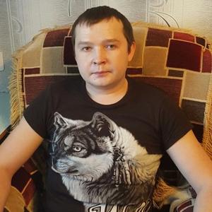 Дмитрий Трифаненков, 34 года, Ярославль