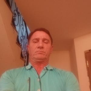 Андрей, 50 лет, Зарайск