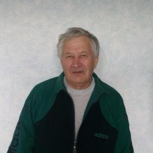 Михаил Бочкарев, 76 лет, Краснодар