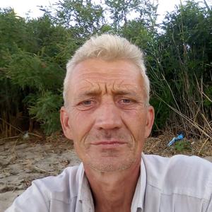 Андрей Кривошеев, 49 лет, Дубовка