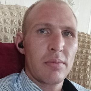 Парни в Олонце: Алексей, 37 - ищет девушку из Олонца