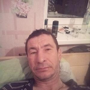 Владимир Лукин, 51 год, Можга