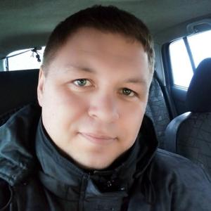 Дмитрий, 43 года, Павловский Посад