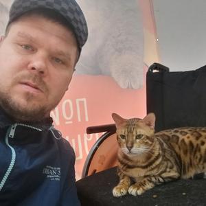 Парни в Челябинске: Сергей, 43 - ищет девушку из Челябинска