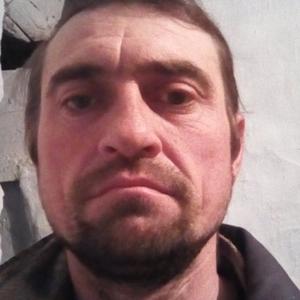 Владимир, 40 лет, Барнаул