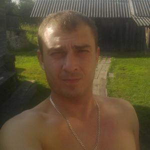 Александр, 36 лет, Череповец