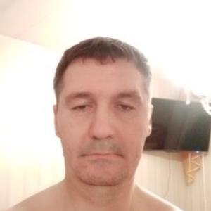 Камиль Шарафутдинов, 51 год, Ульяновск