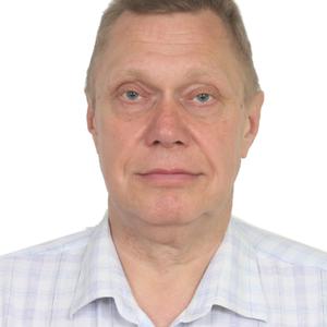 Андрей, 60 лет, Губкинский