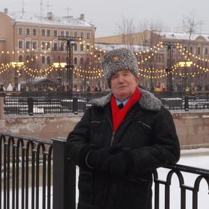 Валерий  Дмитриевич, 71 год, Санкт-Петербург