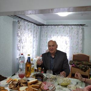 Николай Виноградов, 73 года, Пошехонье