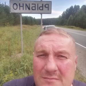 Владимир, 51 год, Нижний Тагил