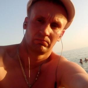 Николай Курков, 38 лет, Тверь