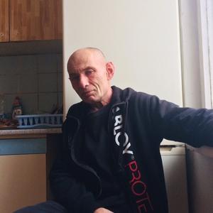 Виталик Богонос, 56 лет, Тула