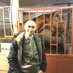 Иван, 37 лет, Сергиев Посад