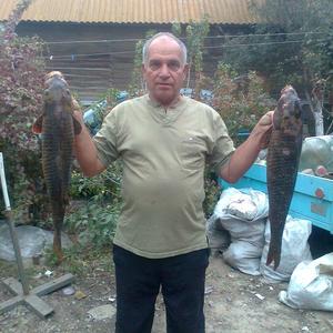 Владимир, 74 года, Астрахань