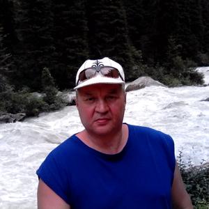 Данис Альмухаметов, 61 год, Челябинск