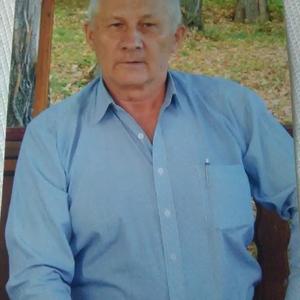 Viktor, 71 год, Самара