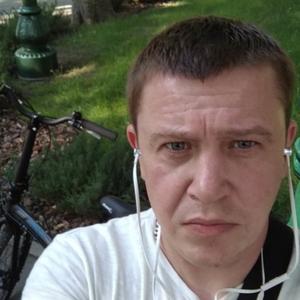 Парни в Харькове: Игорь, 42 - ищет девушку из Харькова