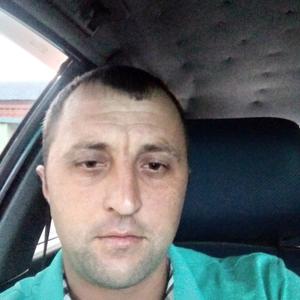 Парни в Черняховске: Дмитрий, 36 - ищет девушку из Черняховска