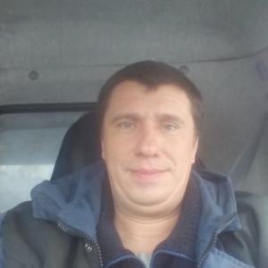 Anton, 43 года, Барнаул