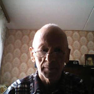 Игорь, 72 года, Воронеж
