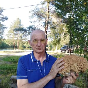Александр Тюляев, 64 года, Рудня