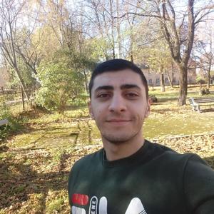 Азер, 22 года, Смоленск